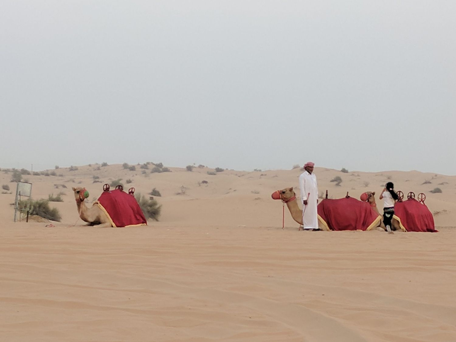 Dubai Desert